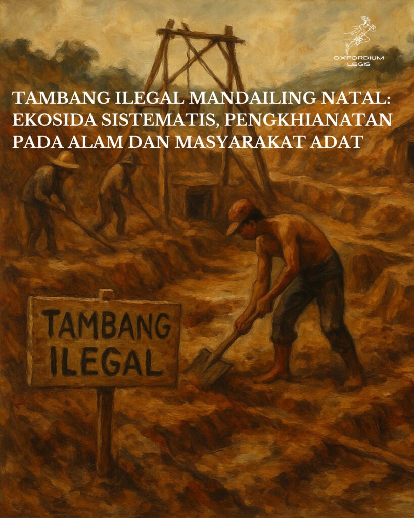 whatsapp image 2025 08 02 at 21.47.18